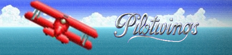 Banner PilotWings 64