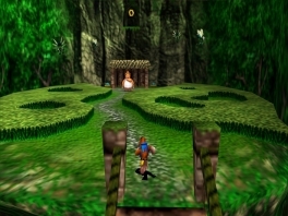 Voor het eerst kun je Banjo en Kazooie ook los van elkaar besturen!